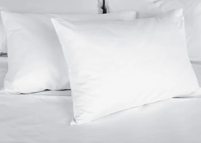 Kosy & Park 2* Troyes